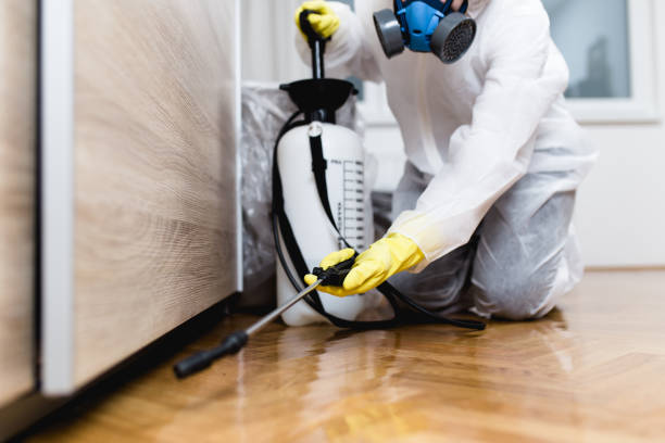 Best Wasp Removal Services  in Asotin, WA